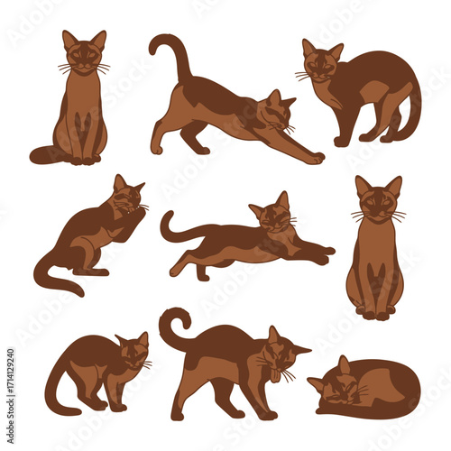 Playful Poses of a Cinnamon-Hued Cat: A collection of illustrations showcasing the elegant Abyssinian cat breed, each depicting different poses and moments of feline agility and charm.