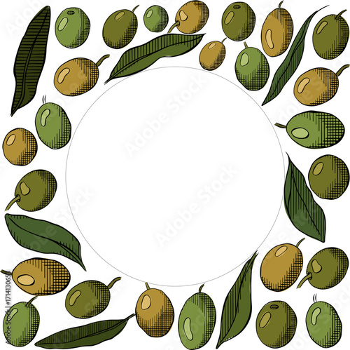 Olive oil design template. Olive green berry and leaves square circle round frame template. Vector graphic line ink colored illustration. Banner, product packaging, design concept.