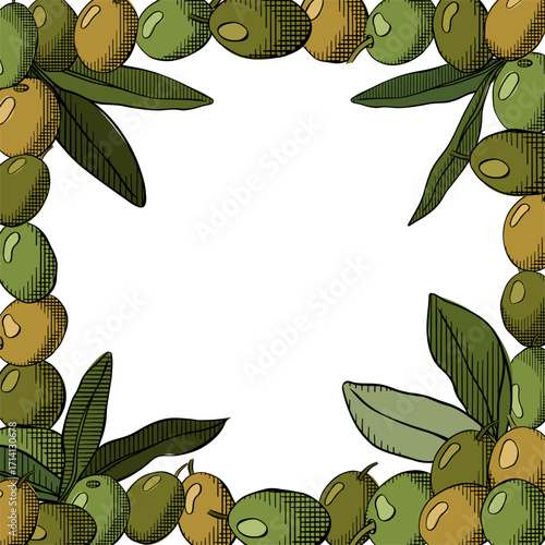Olives background. Olive green berry and leaves square frame template. Vector graphic line ink colored illustration. Mediterranean food menu design in pastel colors.