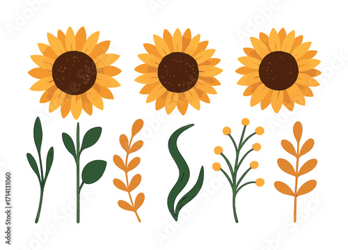 Sunflowers and decorative stems on white background