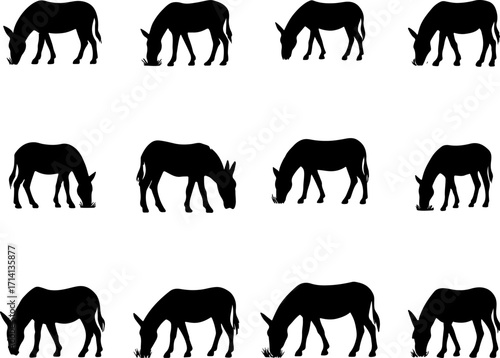 Donkey vectors, donkey art, donkey silhouette, and a Set of donkey, donkey Collection, donkey black color silhouettes