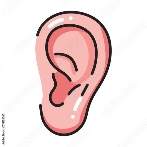 Anatomical Illustration of a Human Ear Showing External Structures in a Clean, Simplified Style