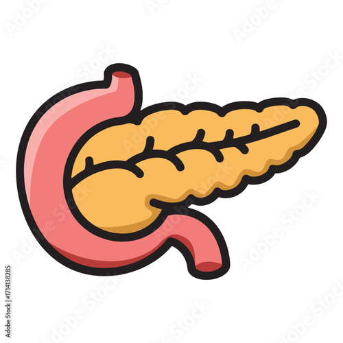 Pancreas anatomy and function a detailed illustration of the organ and its role in digestion and hormone production