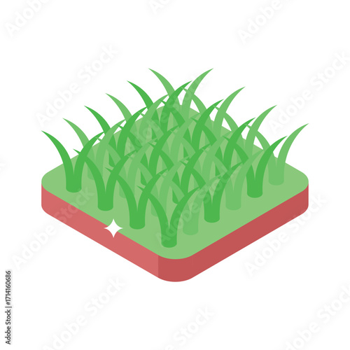 Sleek isometric style icon of trimmed green grass patch