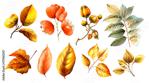 Victor cartoon vintage botanical autumn leaves illustration, element set on white background, showcasing warm earthy tones, intricate hand-drawn details, delicate textures, perfect for seasonal design