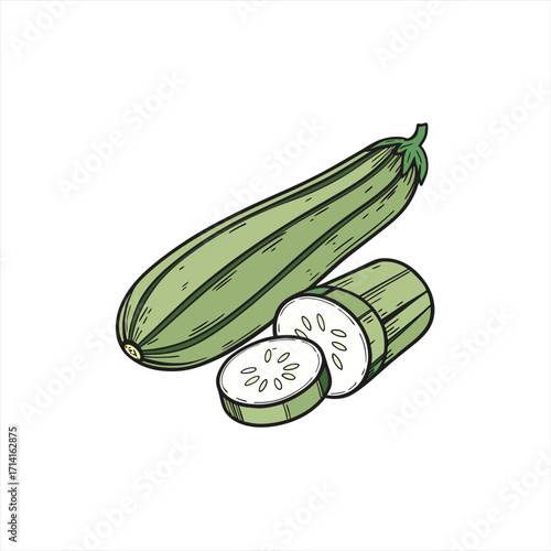 Green zucchini vegetable with sliced pieces on white background
