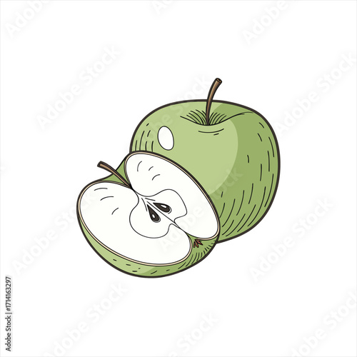 Illustration of a whole green apple and a halved green apple on a white background