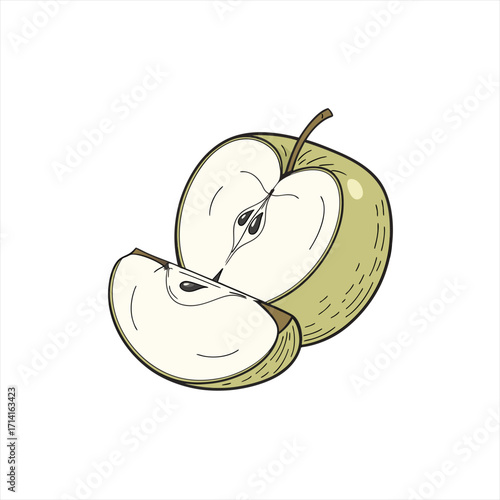 Hand drawn illustration of a sliced green apple with a wedge