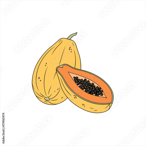 Fresh papaya fruit illustration with one half cut open
