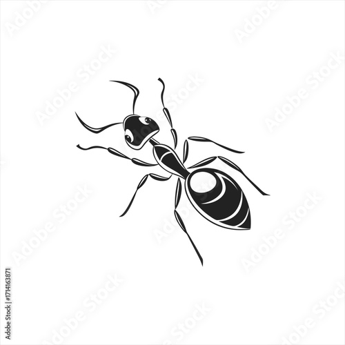 Stylized black ant illustration on a white background