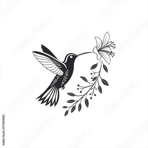 Hummingbird feeding from a delicate flower and branch illustration