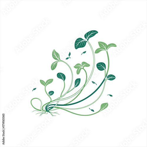 Green plant sprouts with roots and leaves on white background