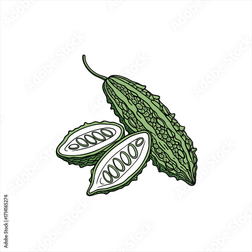 Illustration of a whole and sliced bitter melon on a white background