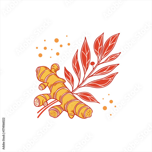 Stylized illustration of a ginger root with red leaves and orange dots