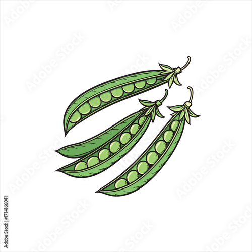 Three open pea pods with round green peas on a white background