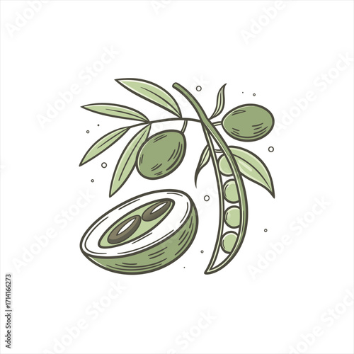 Hand drawn illustration of green olives on a branch with a cut olive and a pea pod