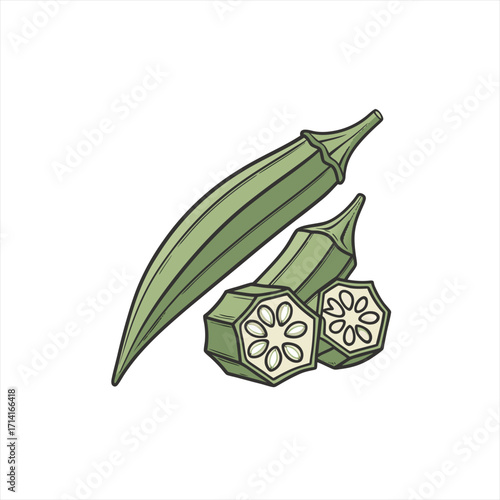 Fresh okra pods and slices illustration