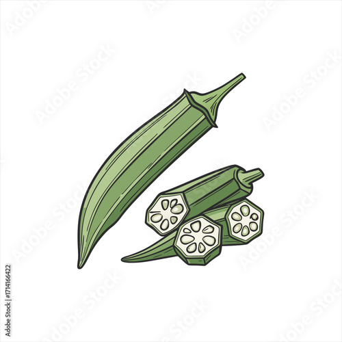 Illustration of fresh green okra pods and slices on a white background