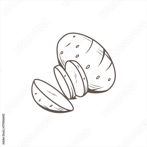 Hand drawn illustration of a whole potato and sliced potatoes