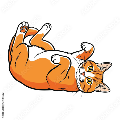Playful Cat in a Relaxed Pose: A charming, orange and white cat lying on its back, paws playfully in the air. This illustration captures the feline's contented and relaxed nature.