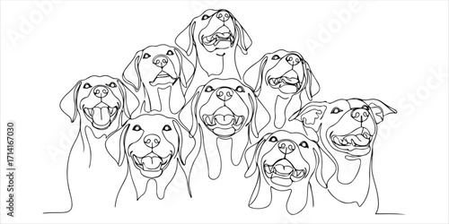 Group of happy dogs looking up 