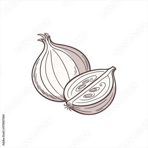 Hand drawn illustration of a whole and halved onion