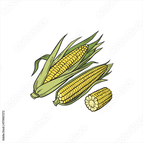 Fresh corn on the cob with green husks and leaves