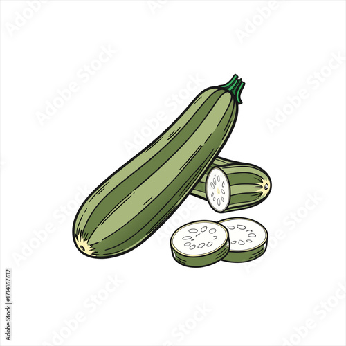 Illustration of a whole zucchini and sliced zucchini on a white background