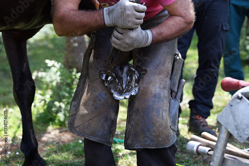 Fotografía The farrier prepares the hoof for shoeing