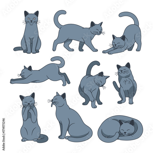 Blue Cat Cartoon Collection: Captivating illustrations of playful blue cat in various poses showcase the versatile essence of feline charm, from peaceful rest to energetic engagement.