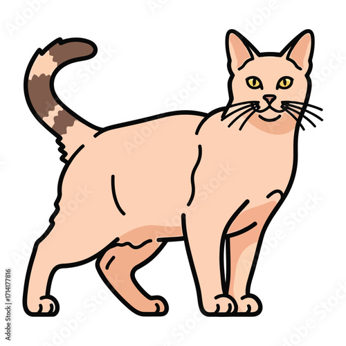 Charming Cat Illustration: An illustrated depiction of a sleek cat with an attractive beige fur stands in a playful pose, captivating viewers with its whimsical and heartwarming design.