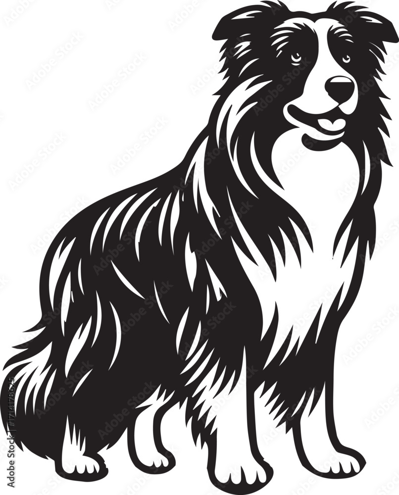 Fototapeta premium Border Collie Dog Vector Illustration, Black and White Silhouette, Pet Animal Design