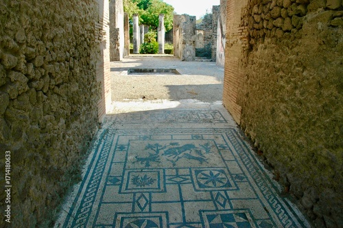 percorso in villa romana a Paestum con pavimento decorato  con  mosaico .