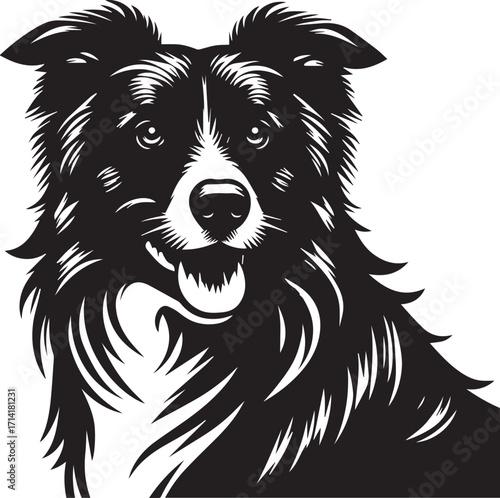 Border Collie Dog Vector Illustration, Black and White Silhouette, Pet Animal Design
