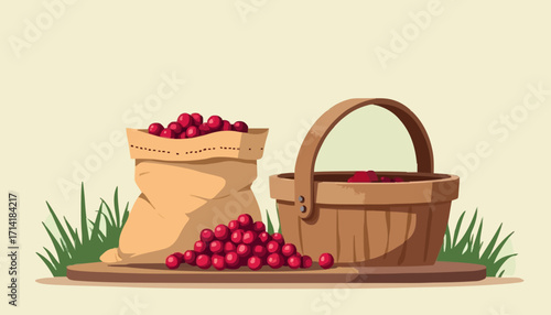 Freshly Picked Red Berries in Sack and Basket
