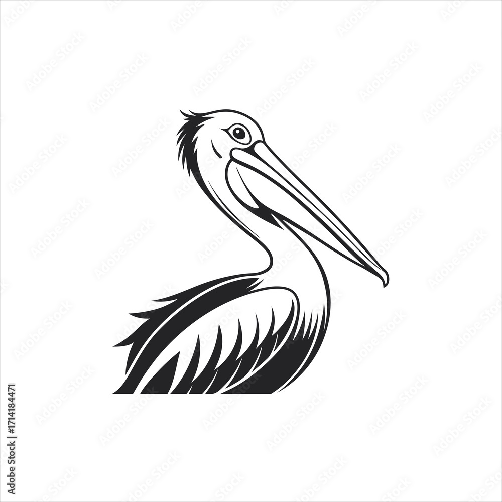 Fototapeta premium Stylized black and white pelican illustration