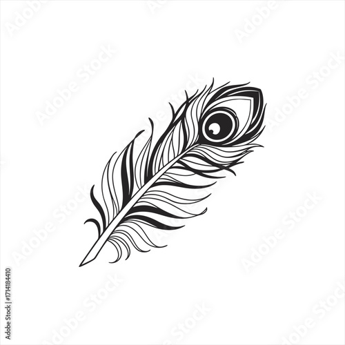 Elegant black and white peacock feather illustration on white background