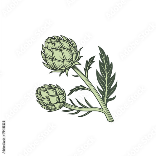 Artichoke plant with two buds and a leaf in a minimalist style