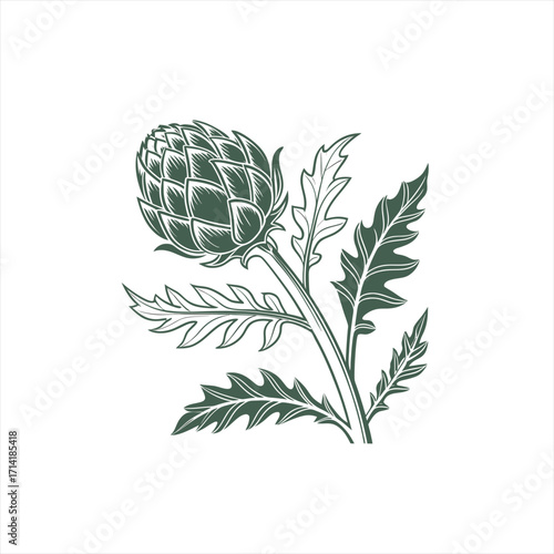 Stylized artichoke plant with leaves in dark green silhouette