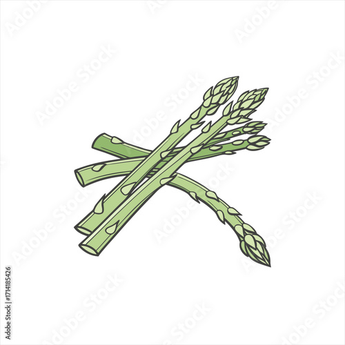 A bunch of fresh green asparagus stalks on a white background