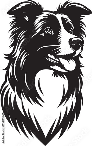 Border Collie Dog Vector Illustration, Black and White Silhouette, Pet Animal Design