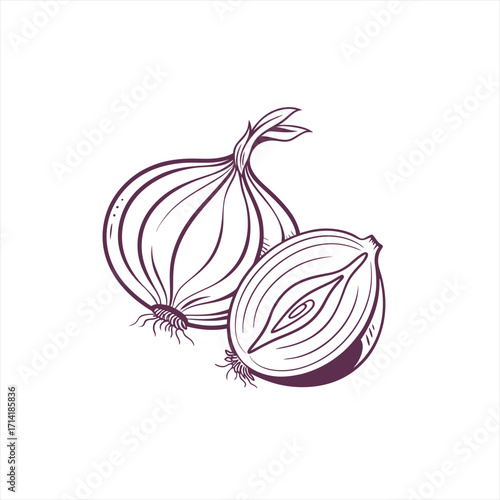 Hand drawn illustration of a whole onion and a halved onion
