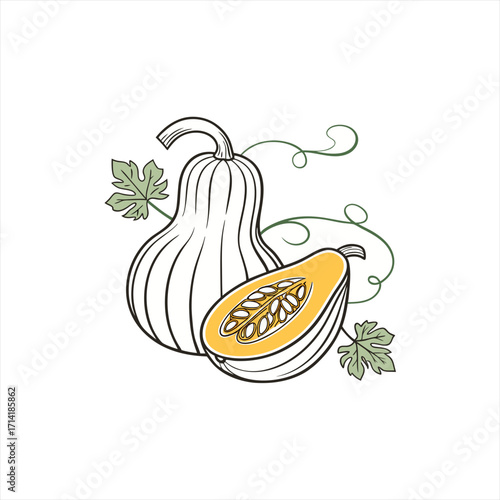 Stylized illustration of a butternut squash and its cut half with leaves and vines