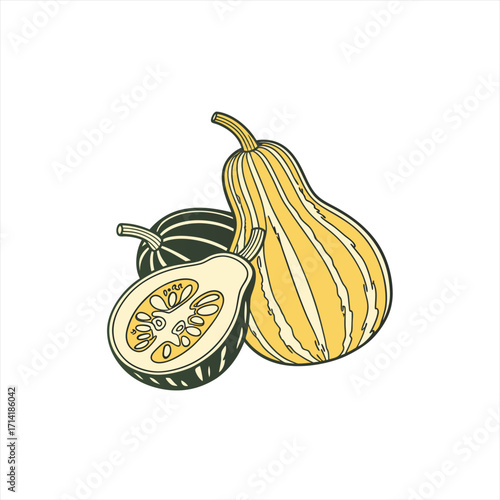 Decorative illustration of striped gourds and a cut squash with seeds