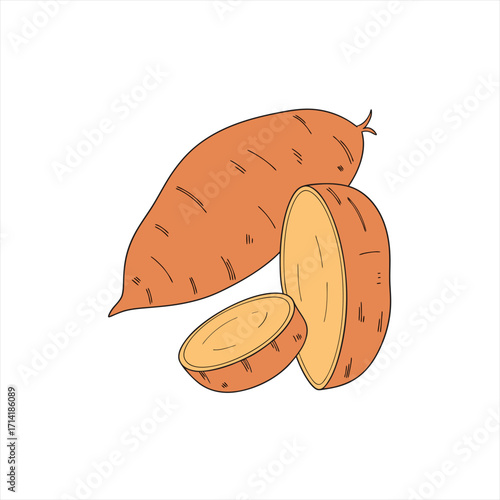 Illustration of a whole sweet potato with a slice and a cross section