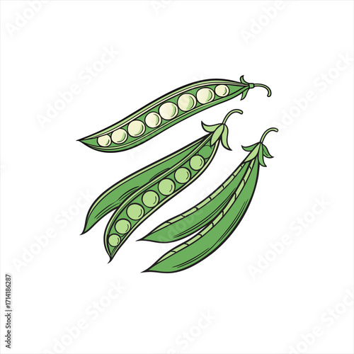Three fresh green pea pods with visible peas inside on a white background