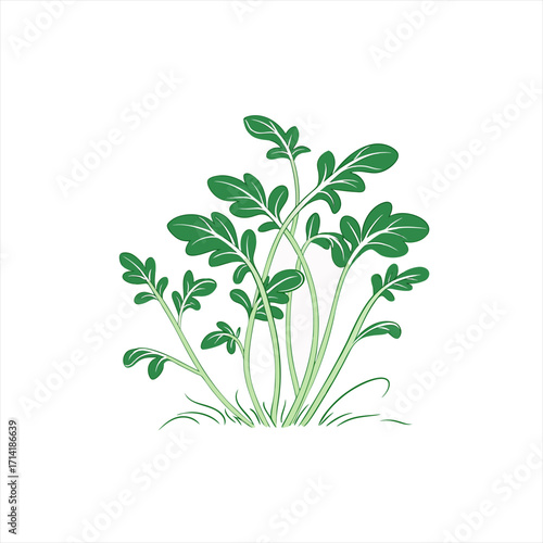 Stylized green plant with leaves and stems on white background
