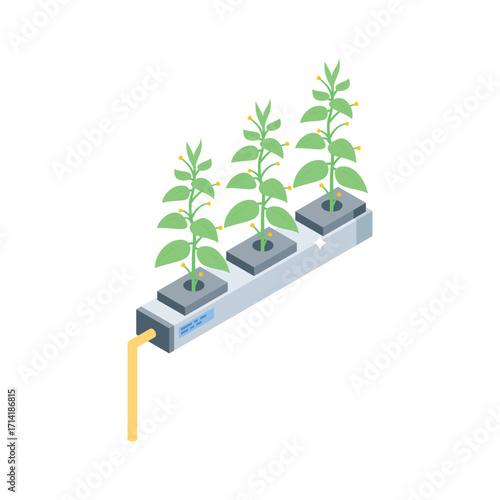 Well crafted isometric style icon of active hydroponics setup