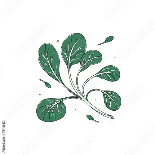 Stylized illustration of fresh green spinach leaves on a white background