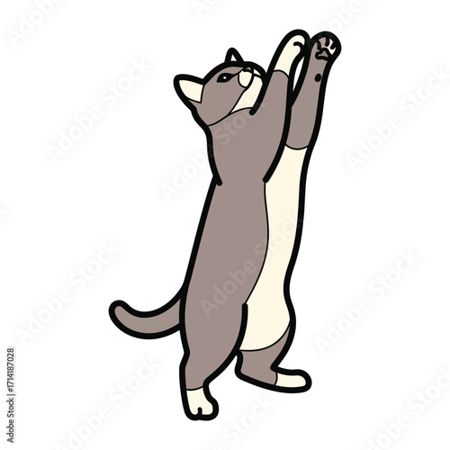Curious Cat Illustration: A playful illustration of a gray cat in an expressive pose, reaching upwards with its paws, conveying curiosity.